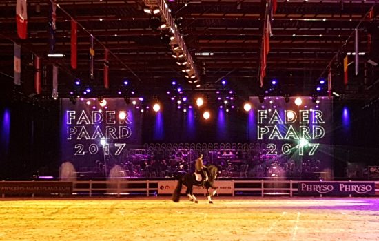 Friesian proms- waterscherm vallend-Faderpaard-laserprojectie -FEC-Leeuwarden