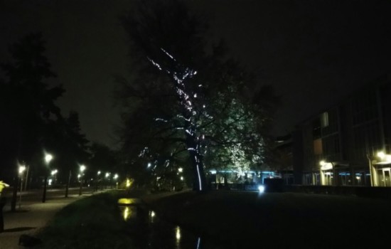 Project _ROOT tijdens Glow in Eindhoven